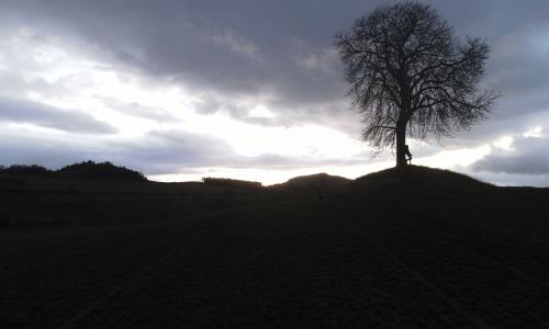 DJI_1919.JPG